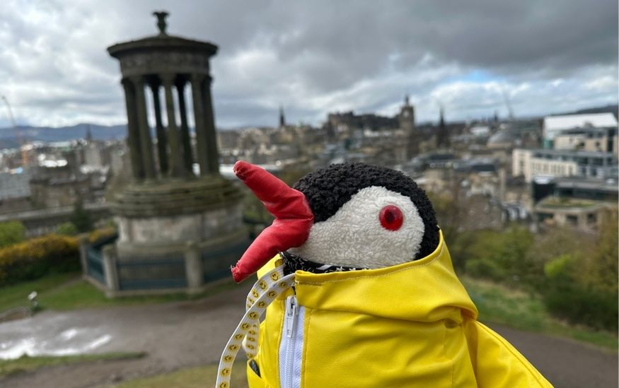 Lifeguin Calton Hill Edinburgh featured