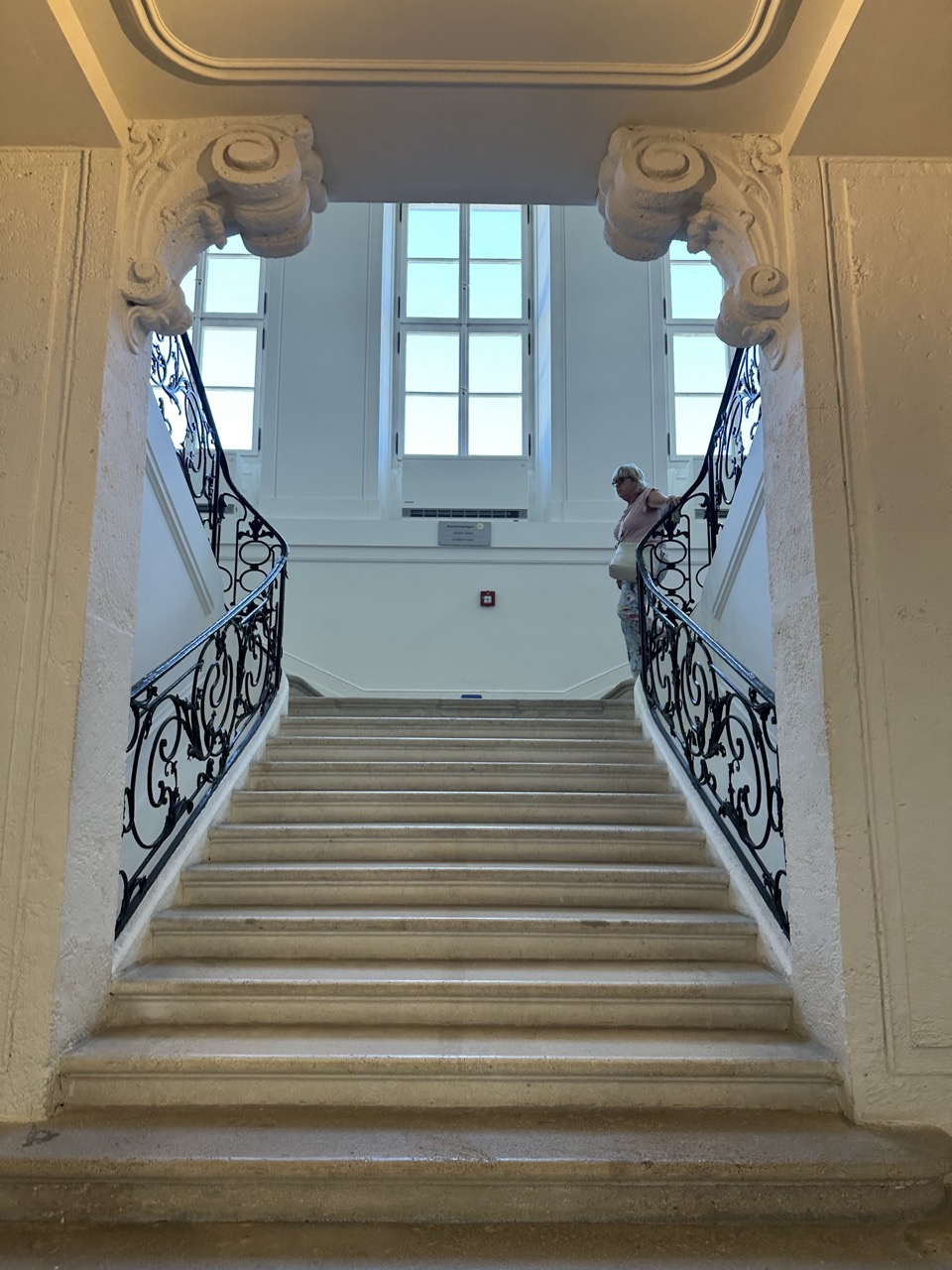 Schloss niederweiden austria