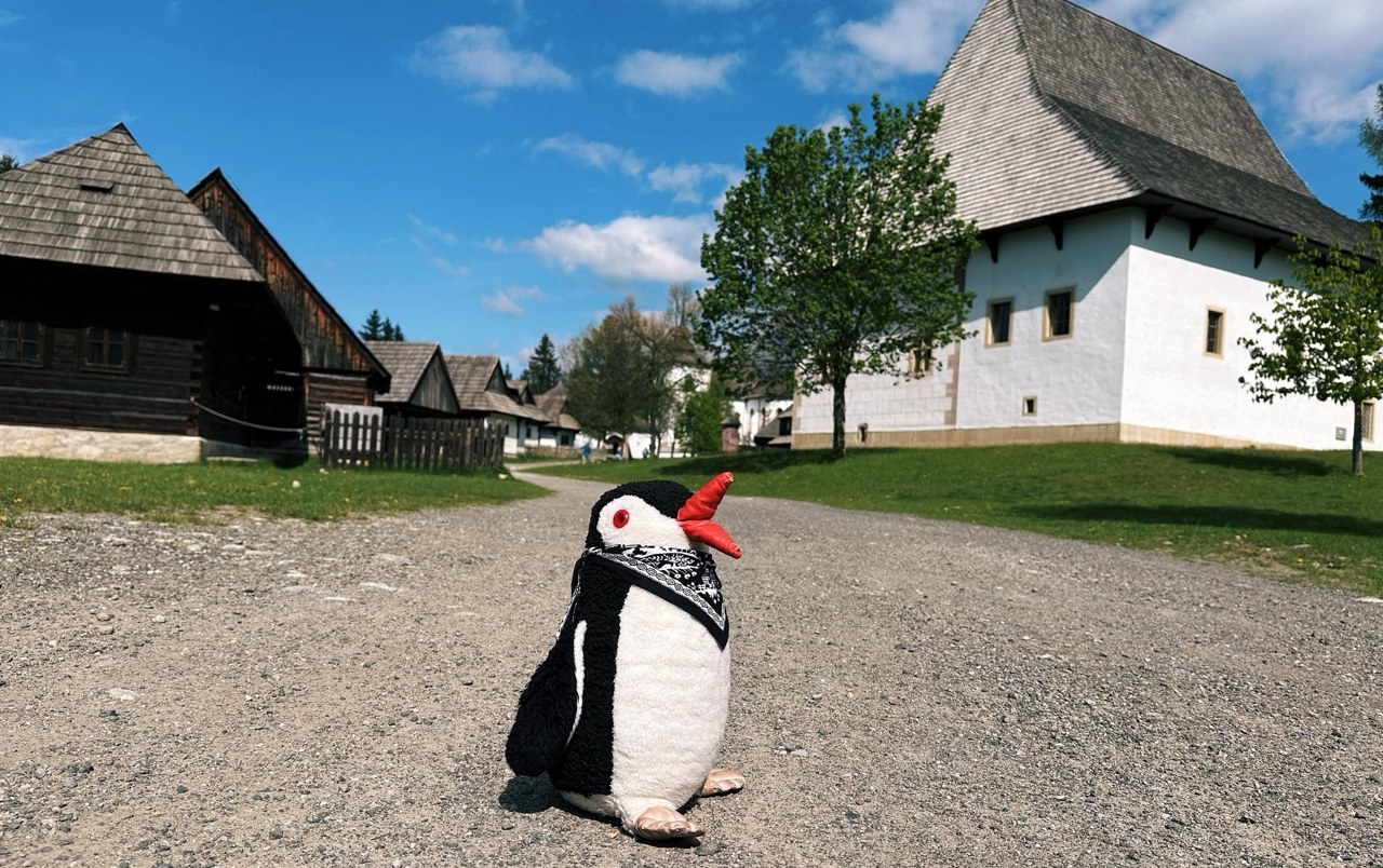 Miško the toy penguin on a path between old wooden houses at the open-air museum in Pribylina, Slovakia