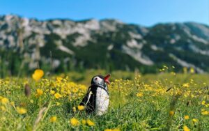 Things to Know About Austria featured
