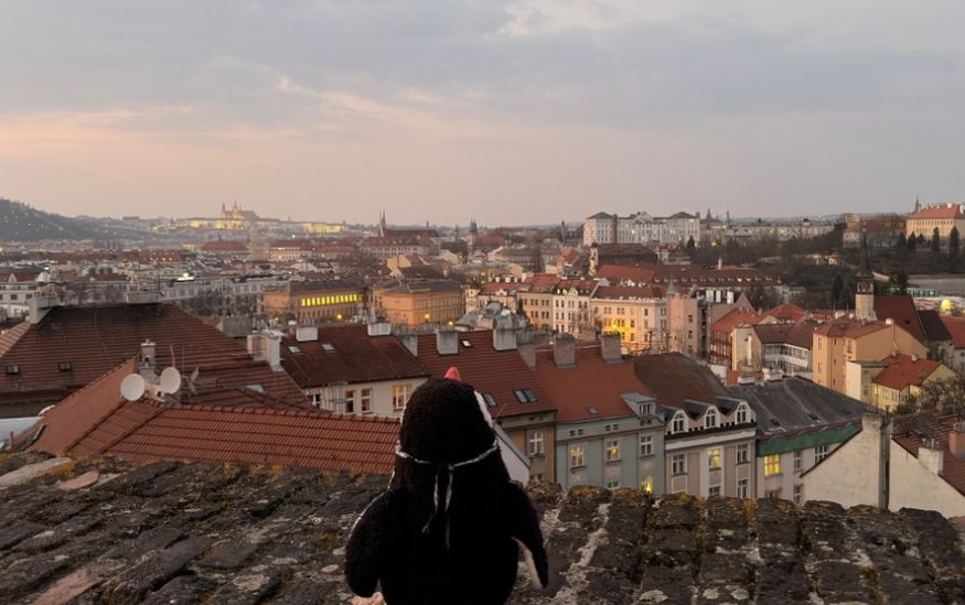 Things to Know about Czech lifeguin Republic featured
