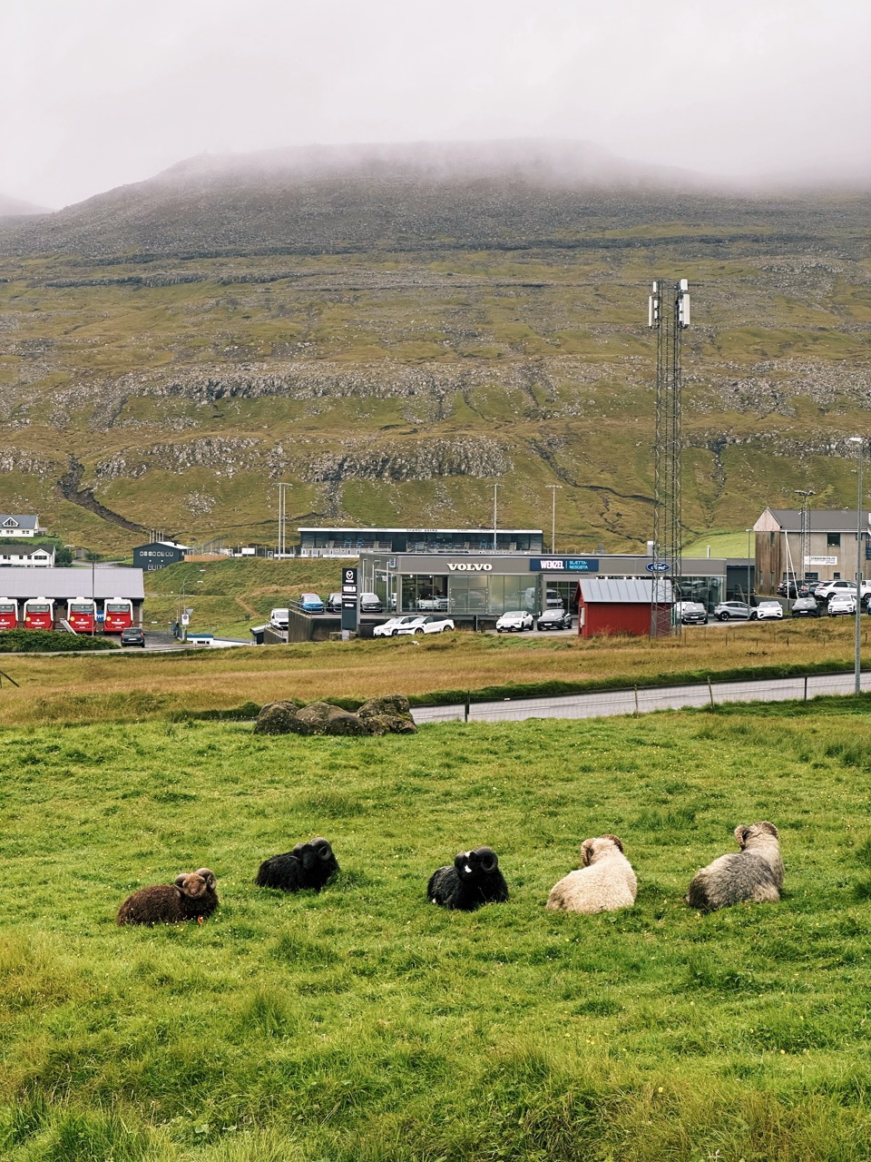Aroe Islands fects