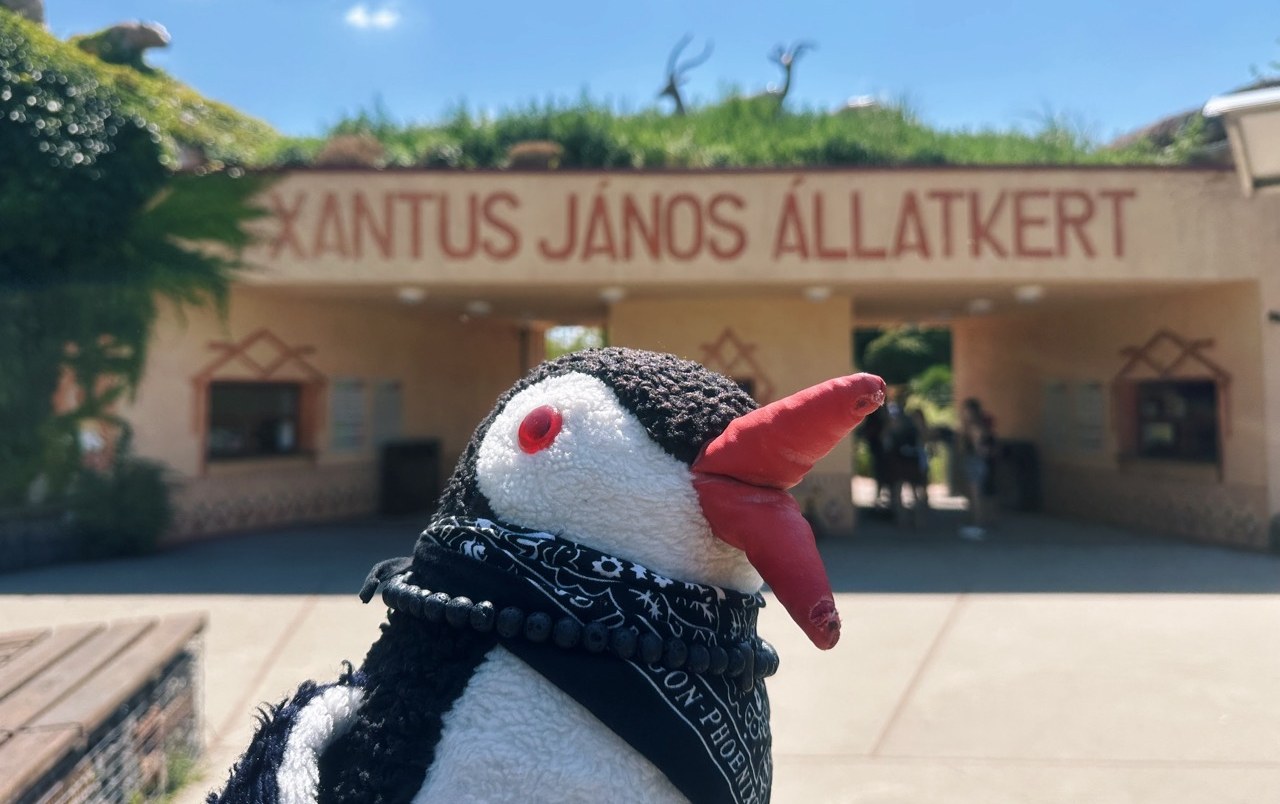 Miško the toy penguin at the entrance of Xantus János Zoo in Győr, Hungary