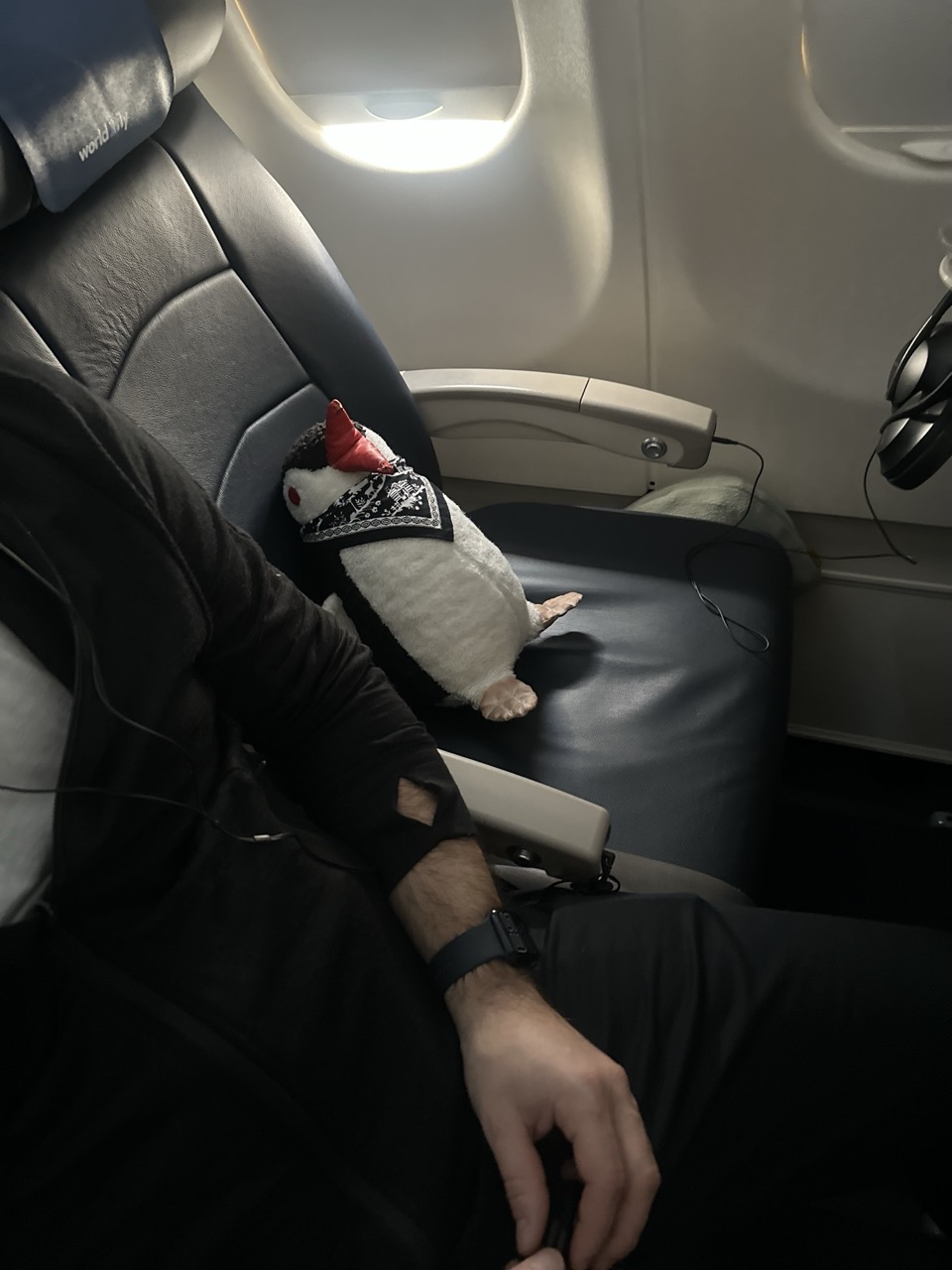 Beat Jet Lag