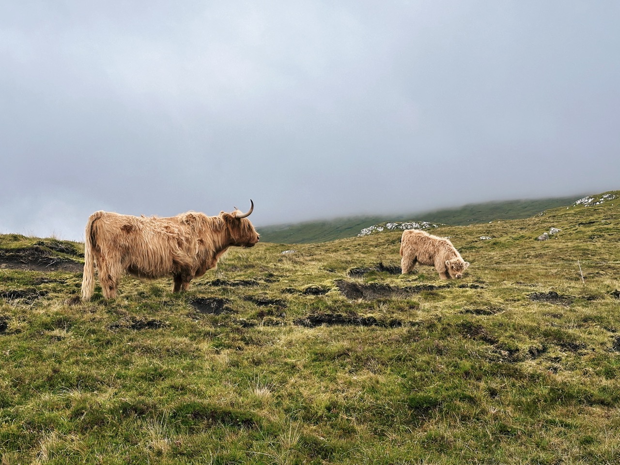 Bosdalafossur Waterfall hike
