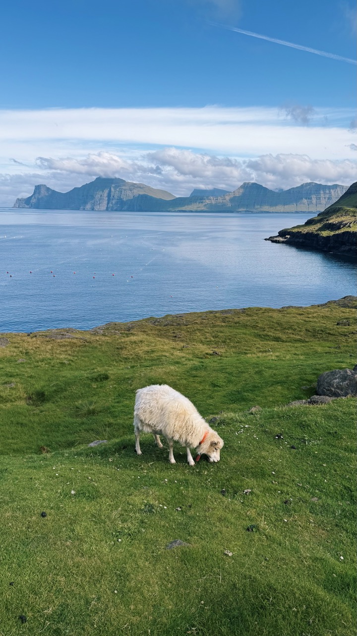 Elduvik faroe islands