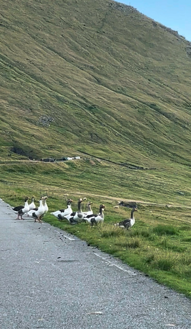 Faroe Islands by Car
