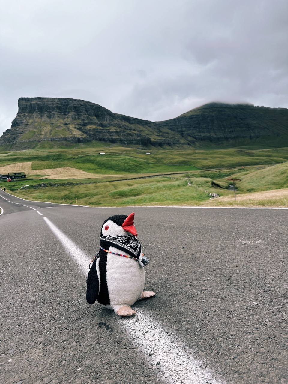 Faroe Islands by Car