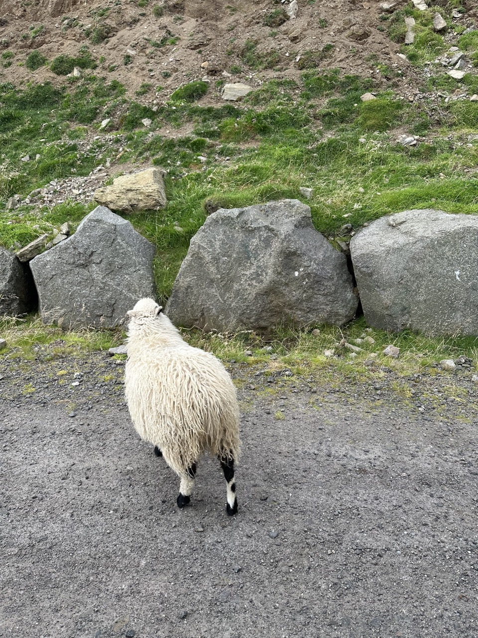 Faroe Islands by Car
