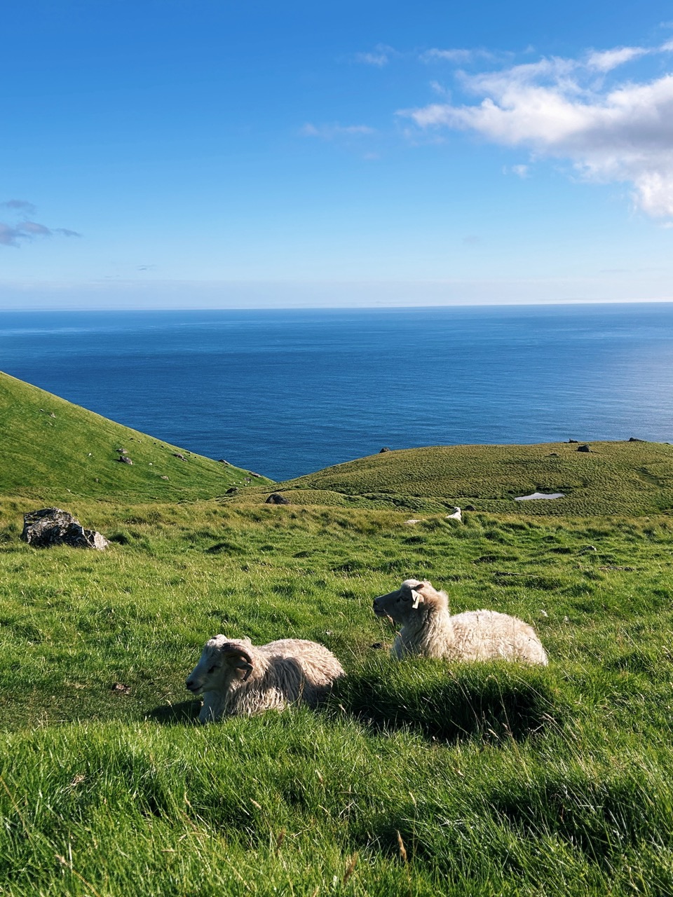 Faroe Islands by Car