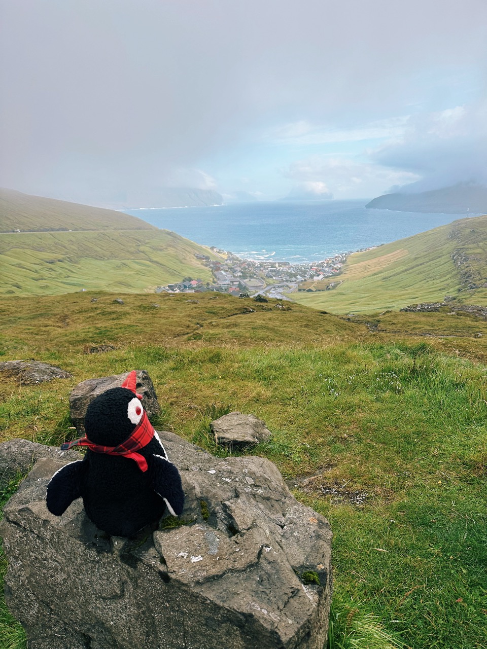 Faroe Islands dinner with Locals