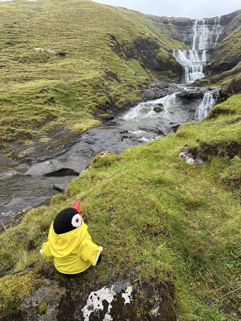 Hiking the Faroe Islands Tips