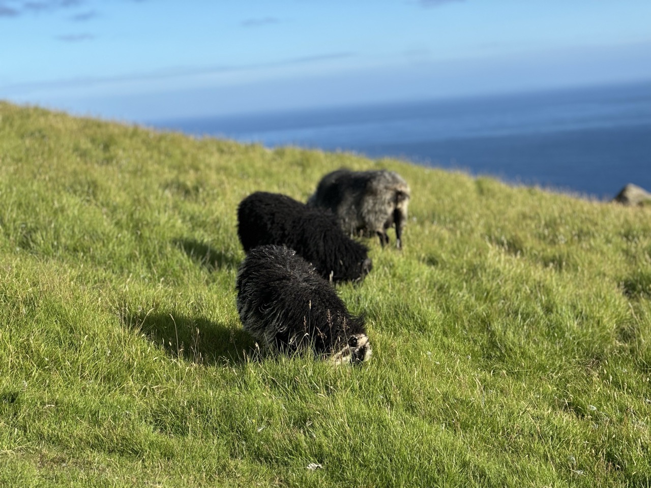 Kallur Lighthouse hike