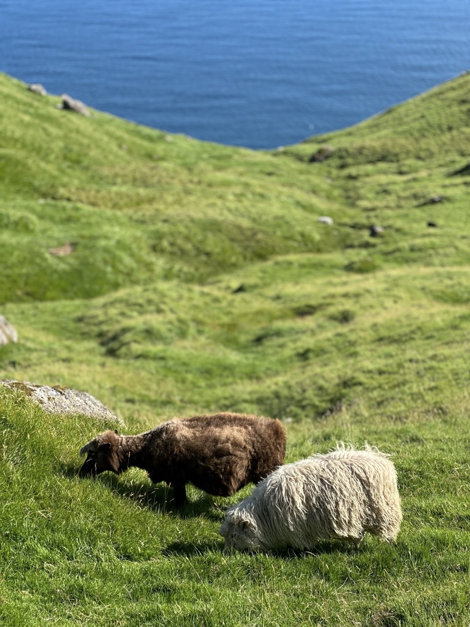 Kallur Lighthouse hike
