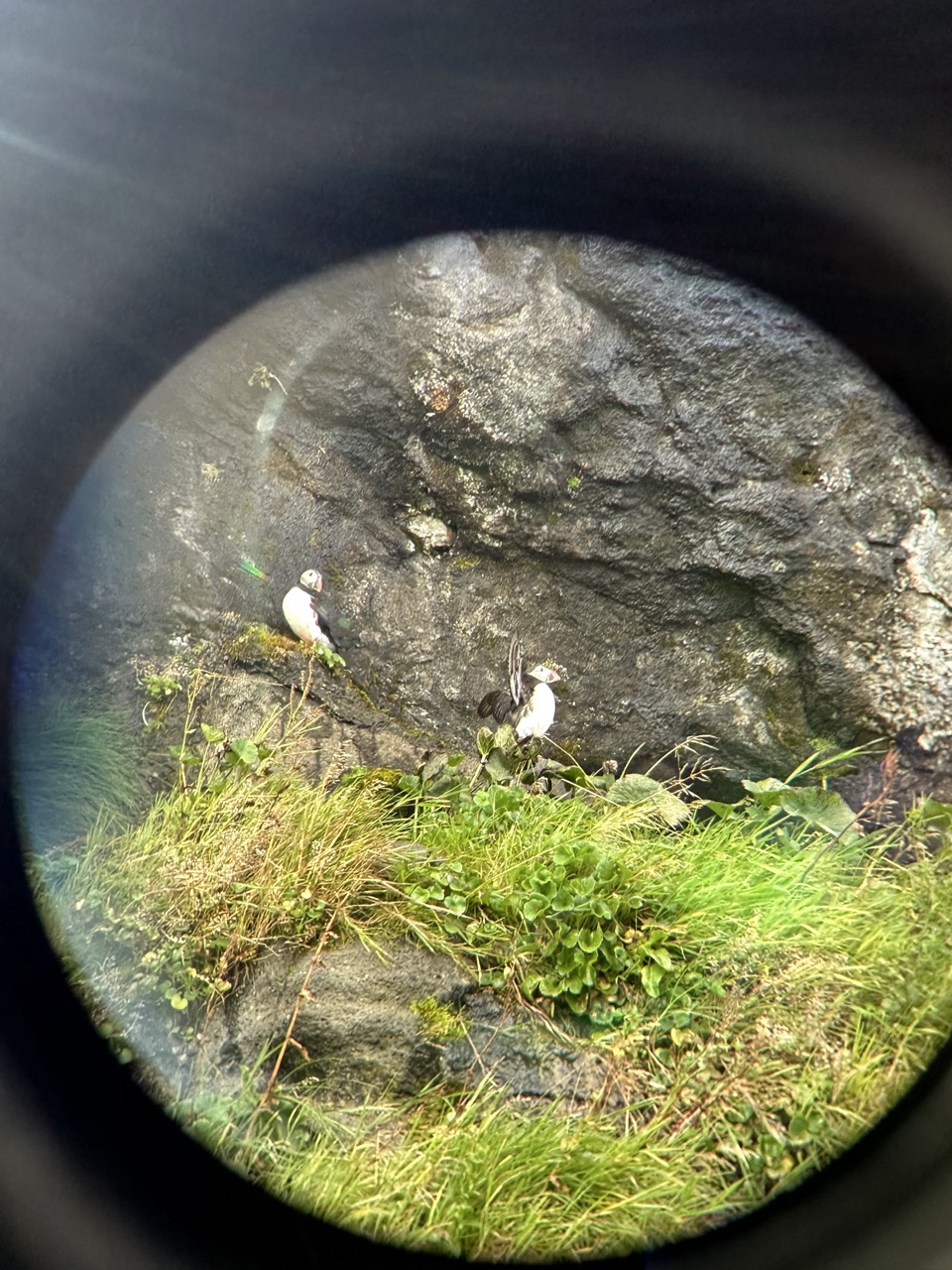 Kallur Lighthouse hike