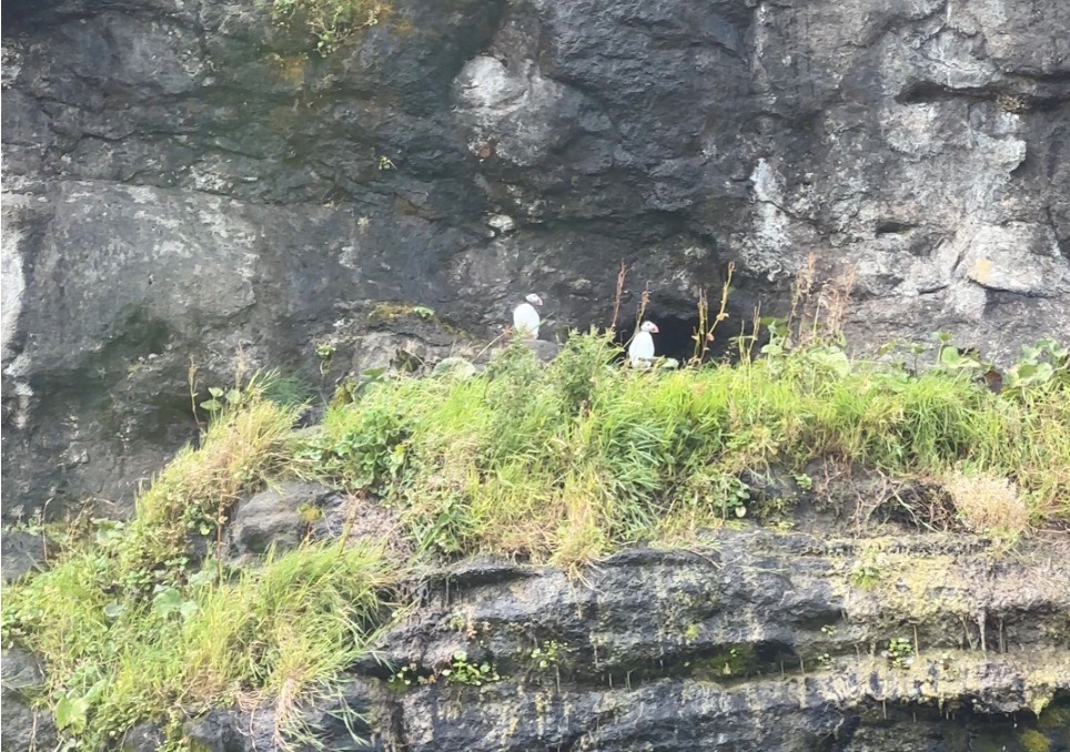 Kallur Lighthouse hike