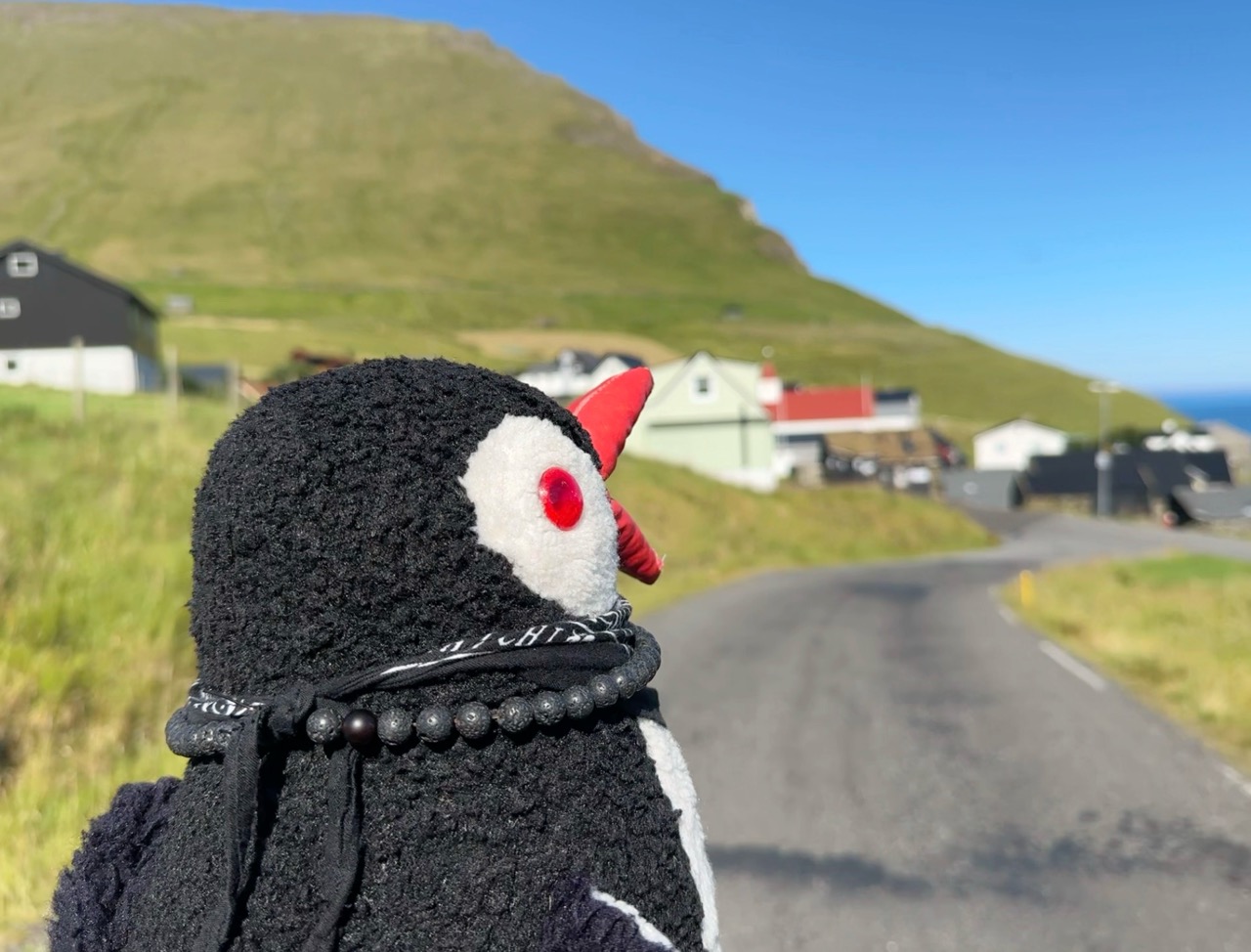 Kalsoy Island One Day itinerary