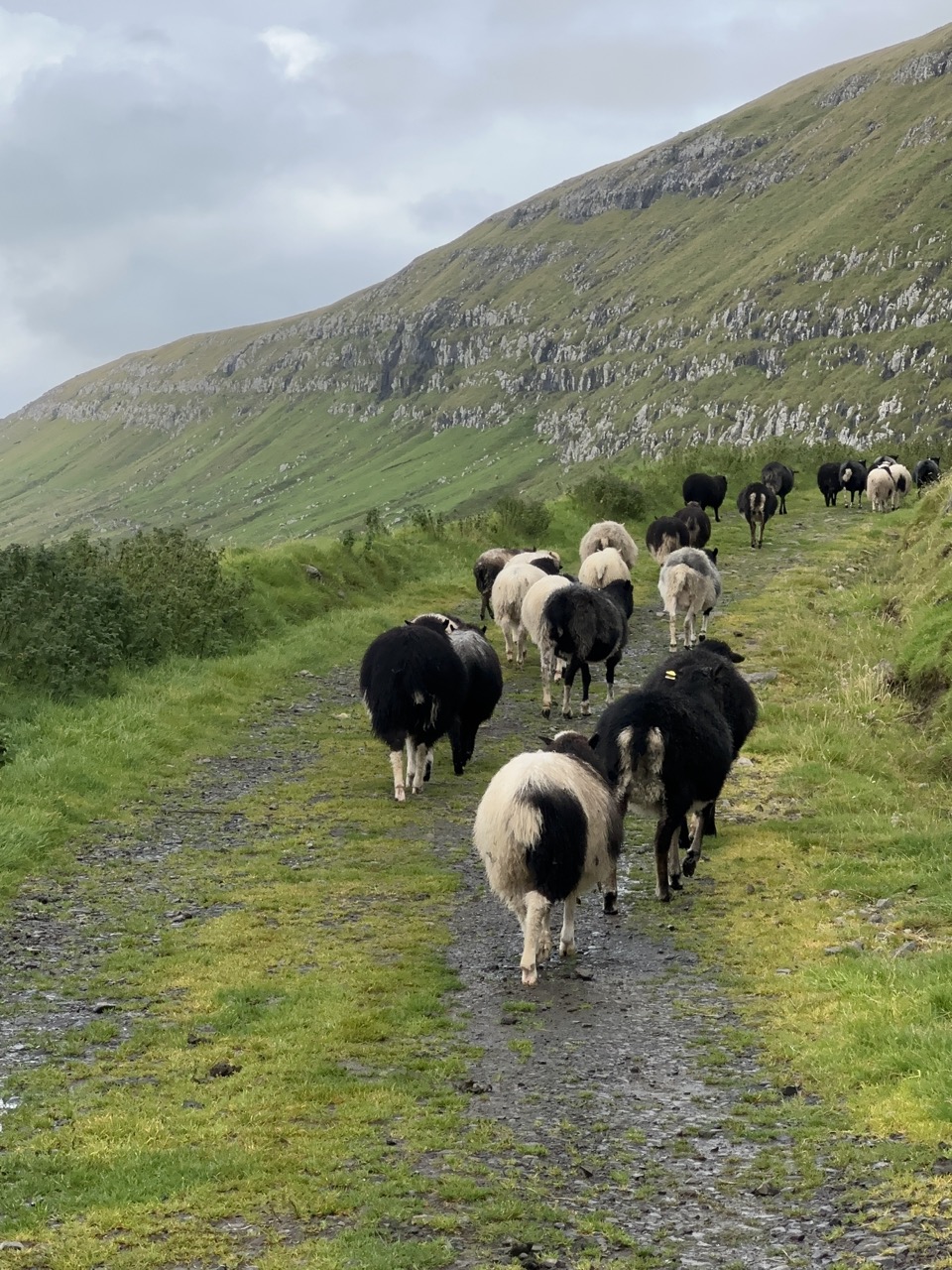Kirkjubour Faroe Islands