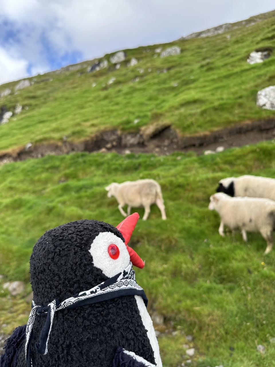 Kirkjubour Faroe Islands