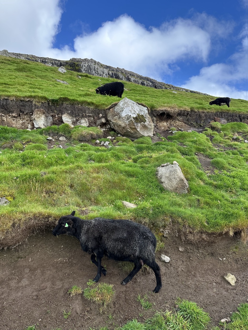Kirkjubour Faroe Islands