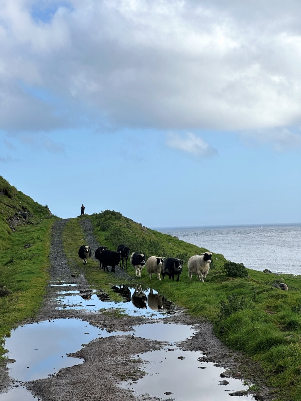 Kirkjubour Faroe Islands