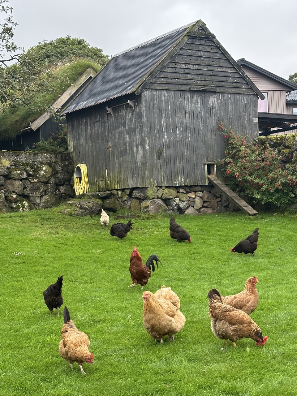 Torshavn Faroe Islands
