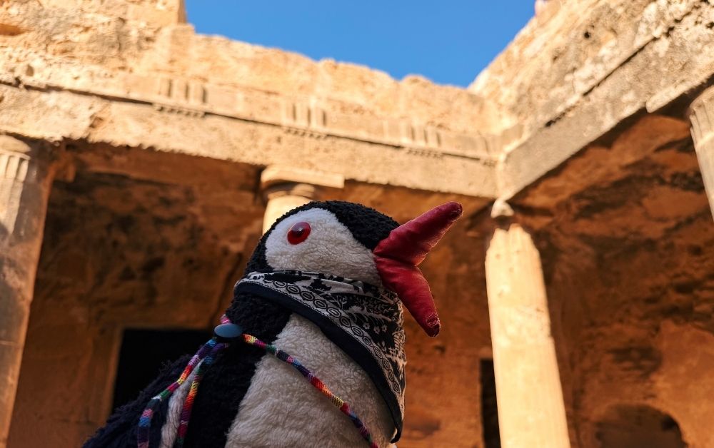 Lifeguin featured image