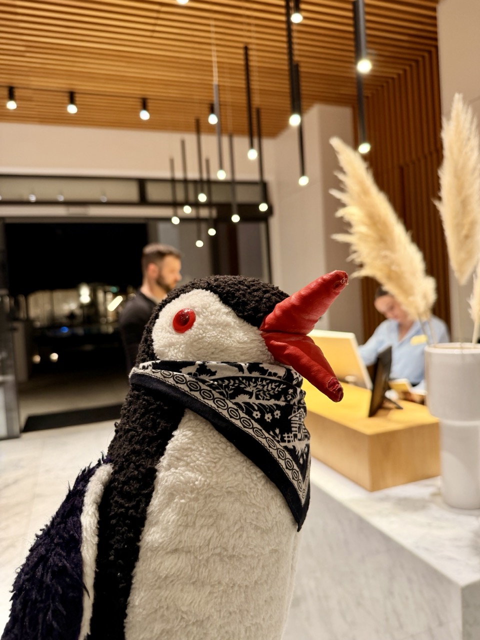 Anemi Hotel review