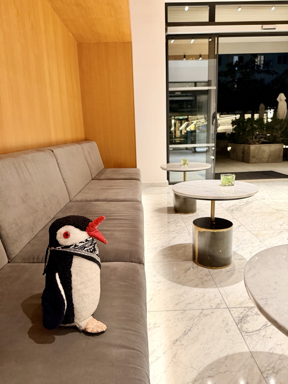 Anemi Hotel review