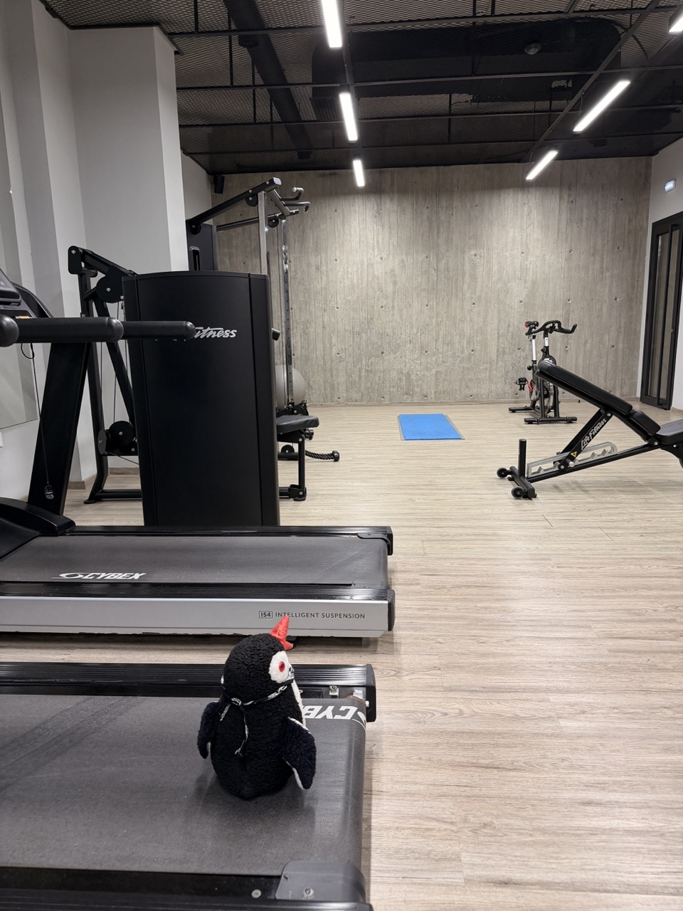 Anemi Hotel review