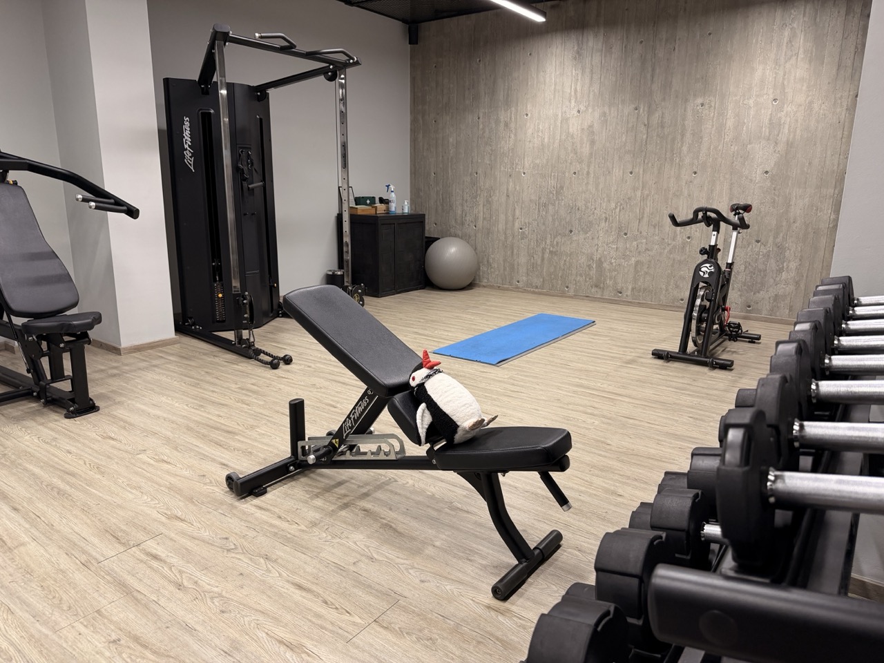 Anemi Hotel review
