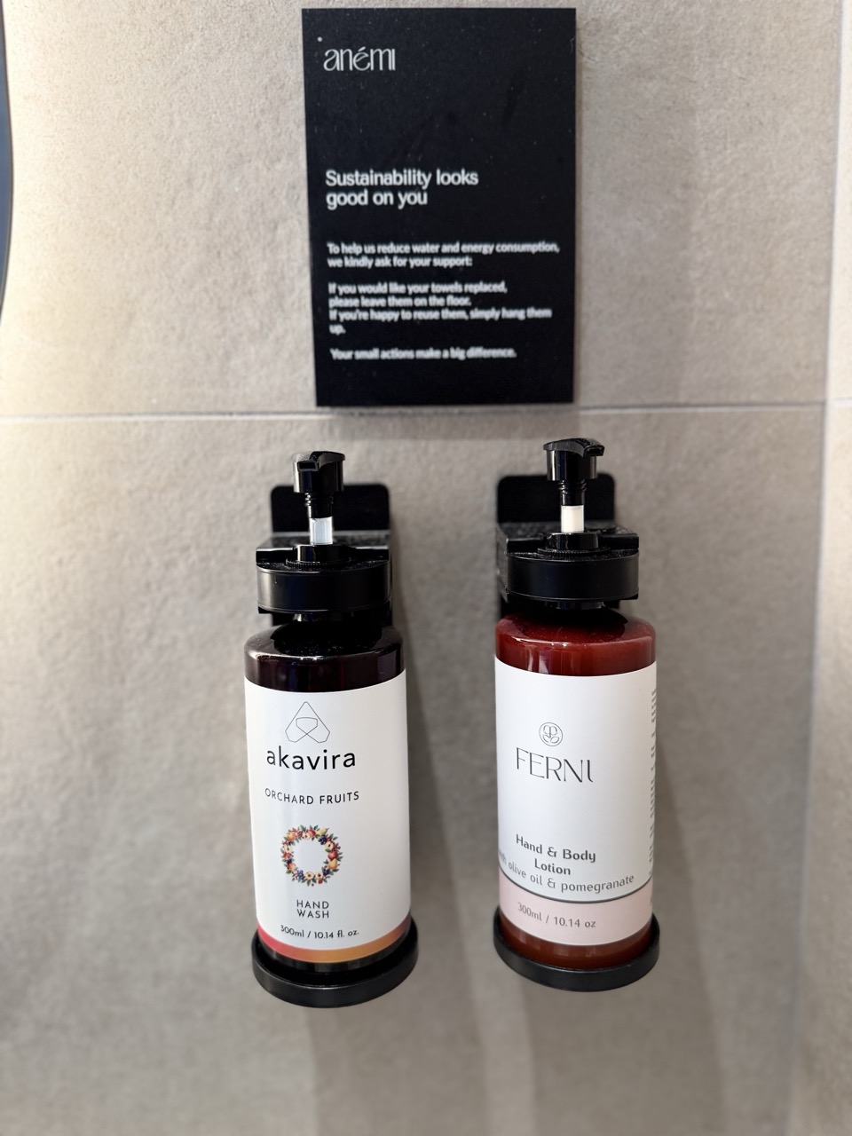 Anemi Hotel review