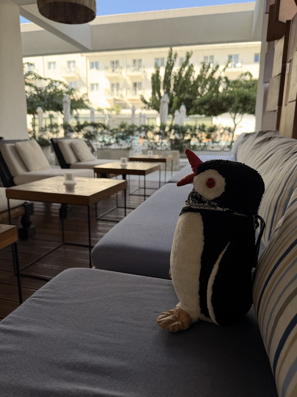 Anemi Hotel review