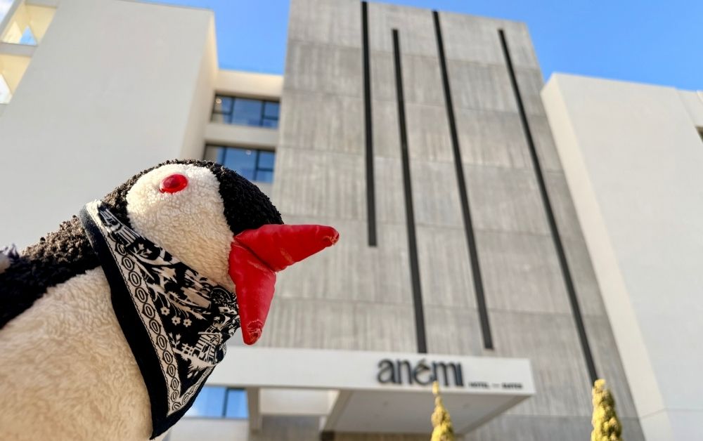 Anemi Hotel review featured