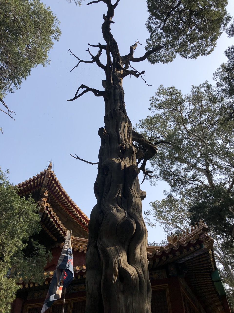 Forbidden City beijing