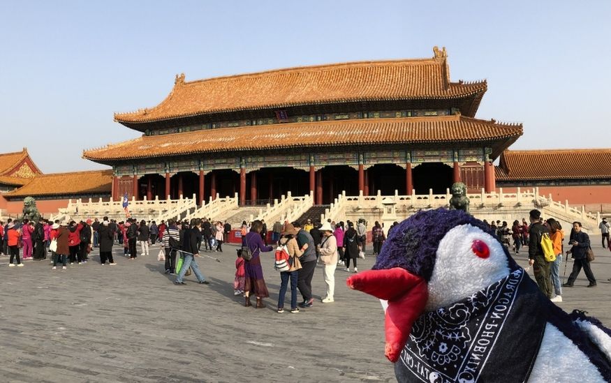 Forbidden City beijing lifeguin featured