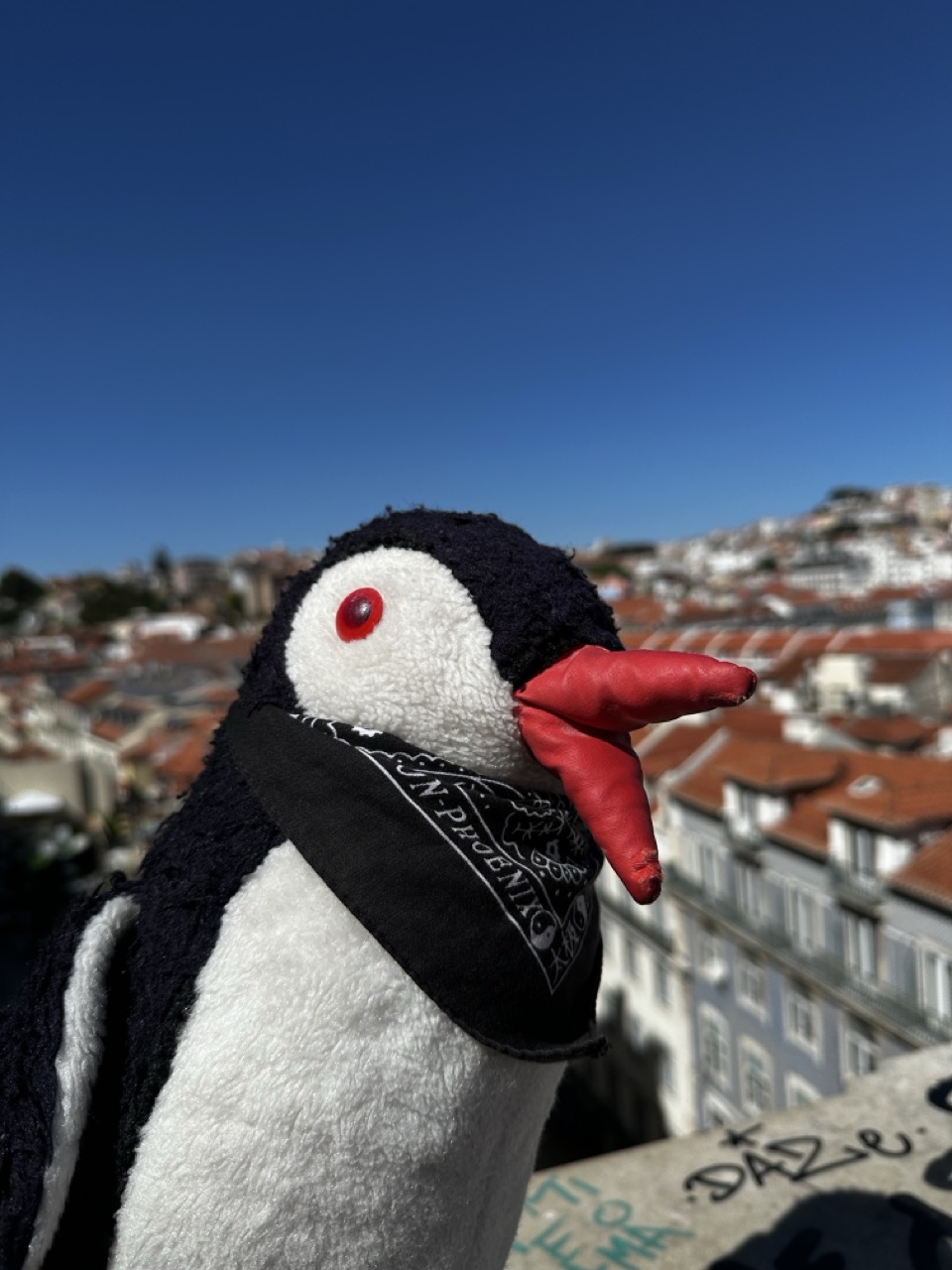 Lisbon facts