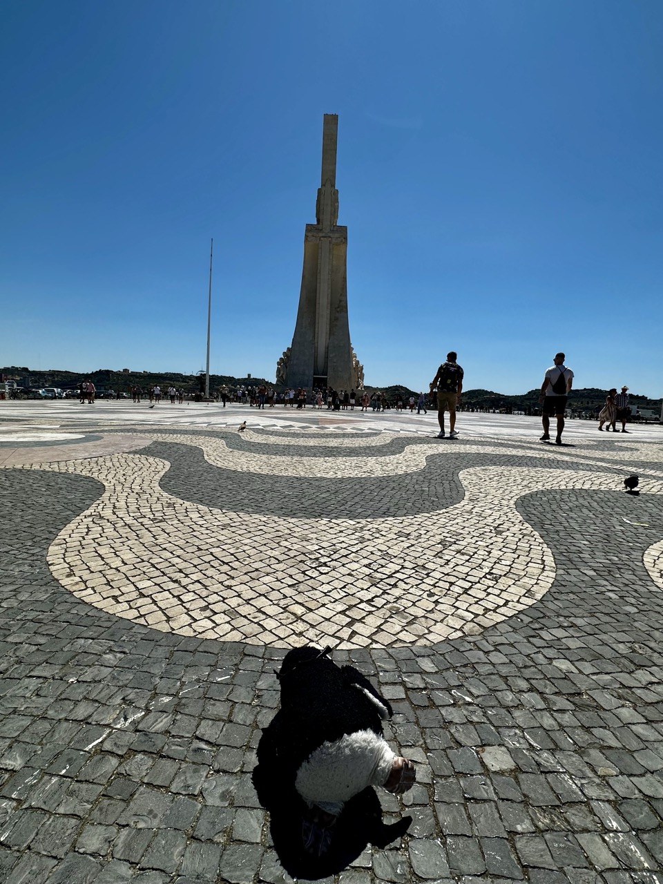 Lisbon facts