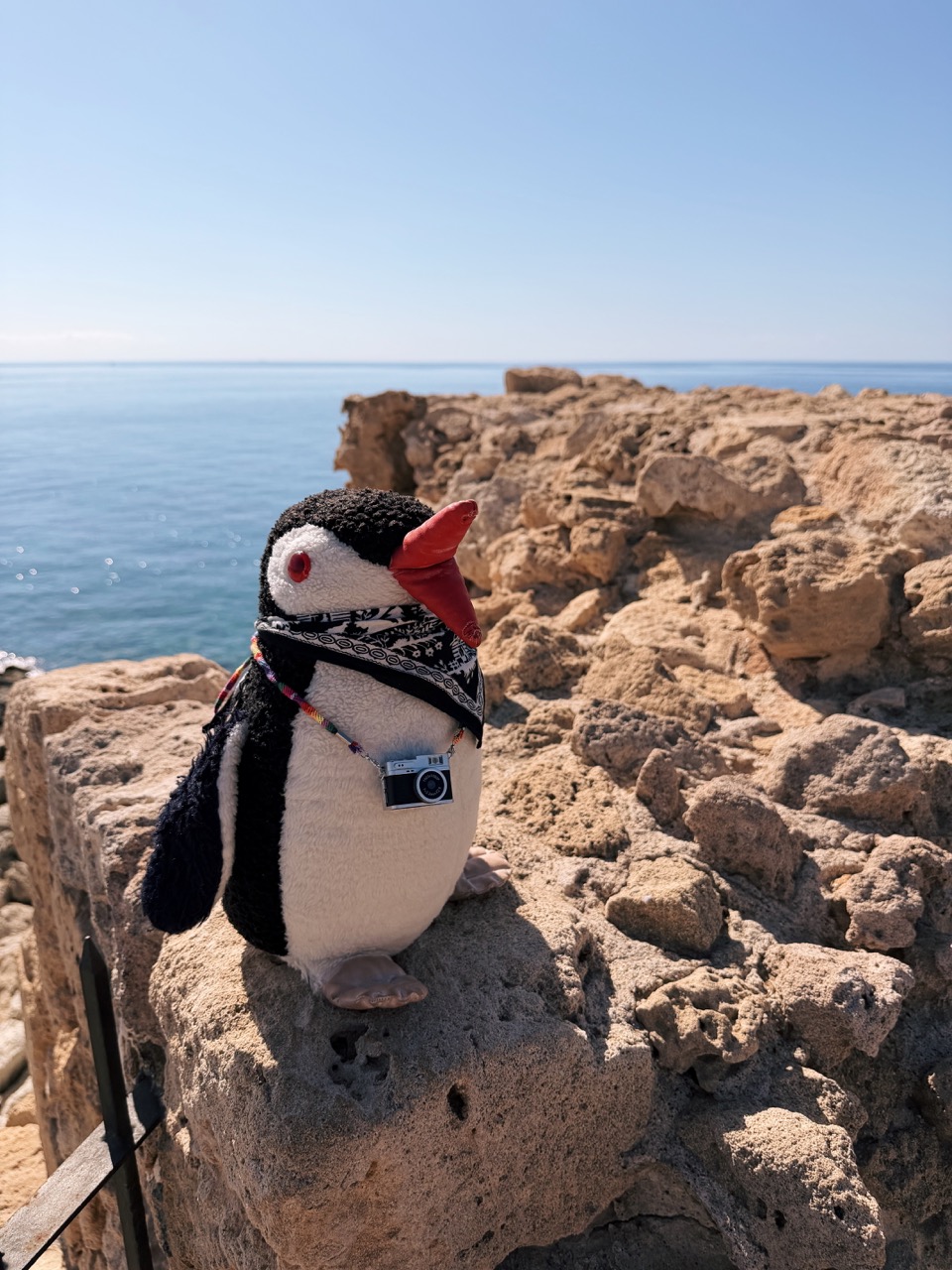 Pafos Things to do