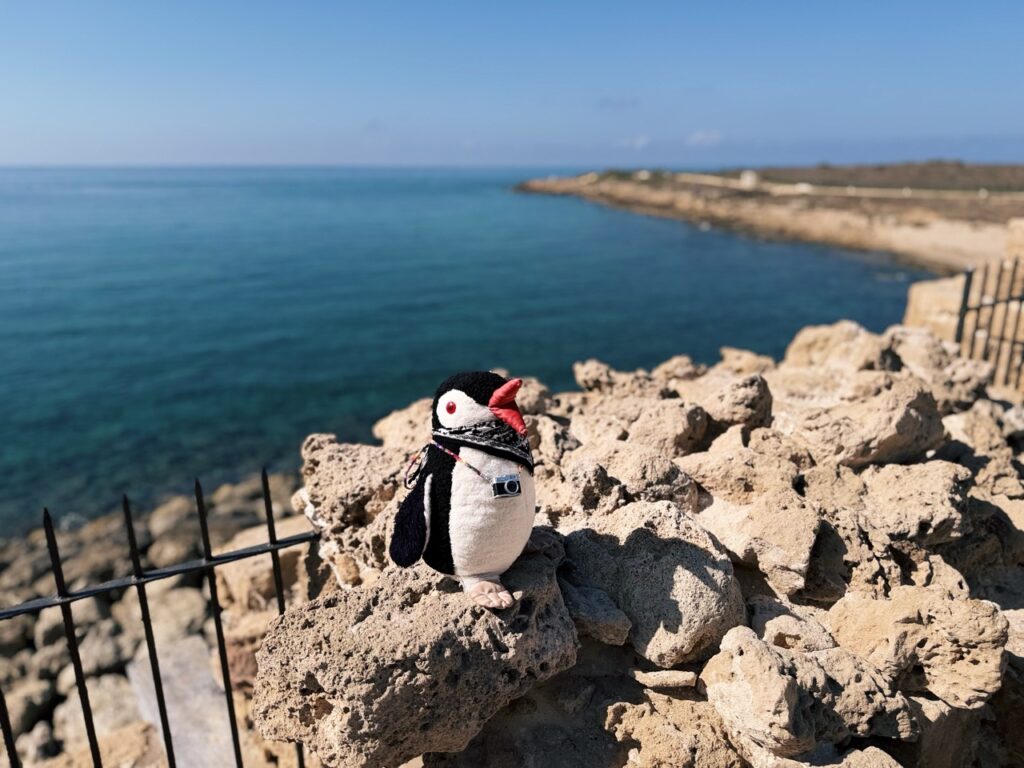 Pafos Things to do