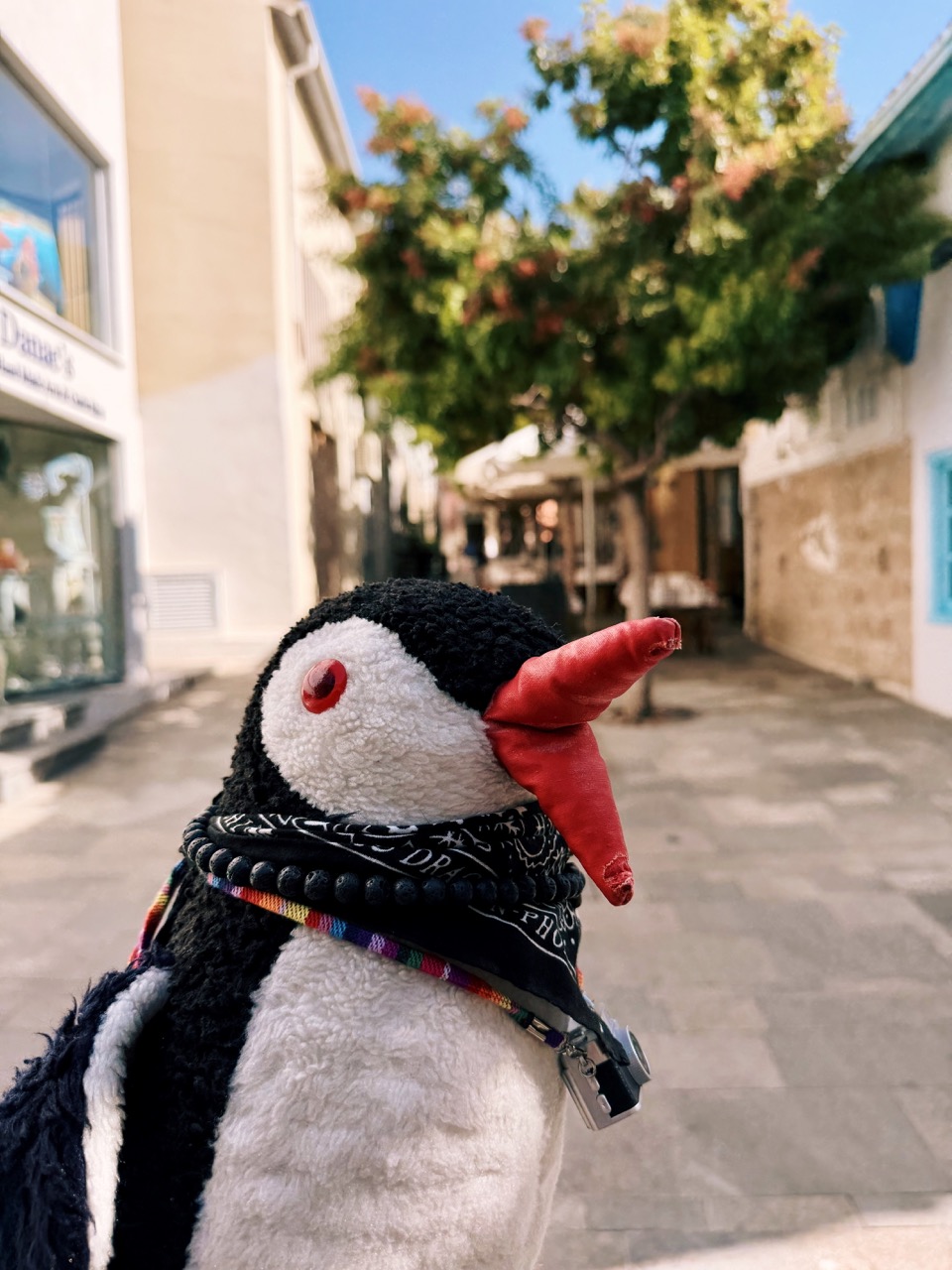 Pafos Things to do