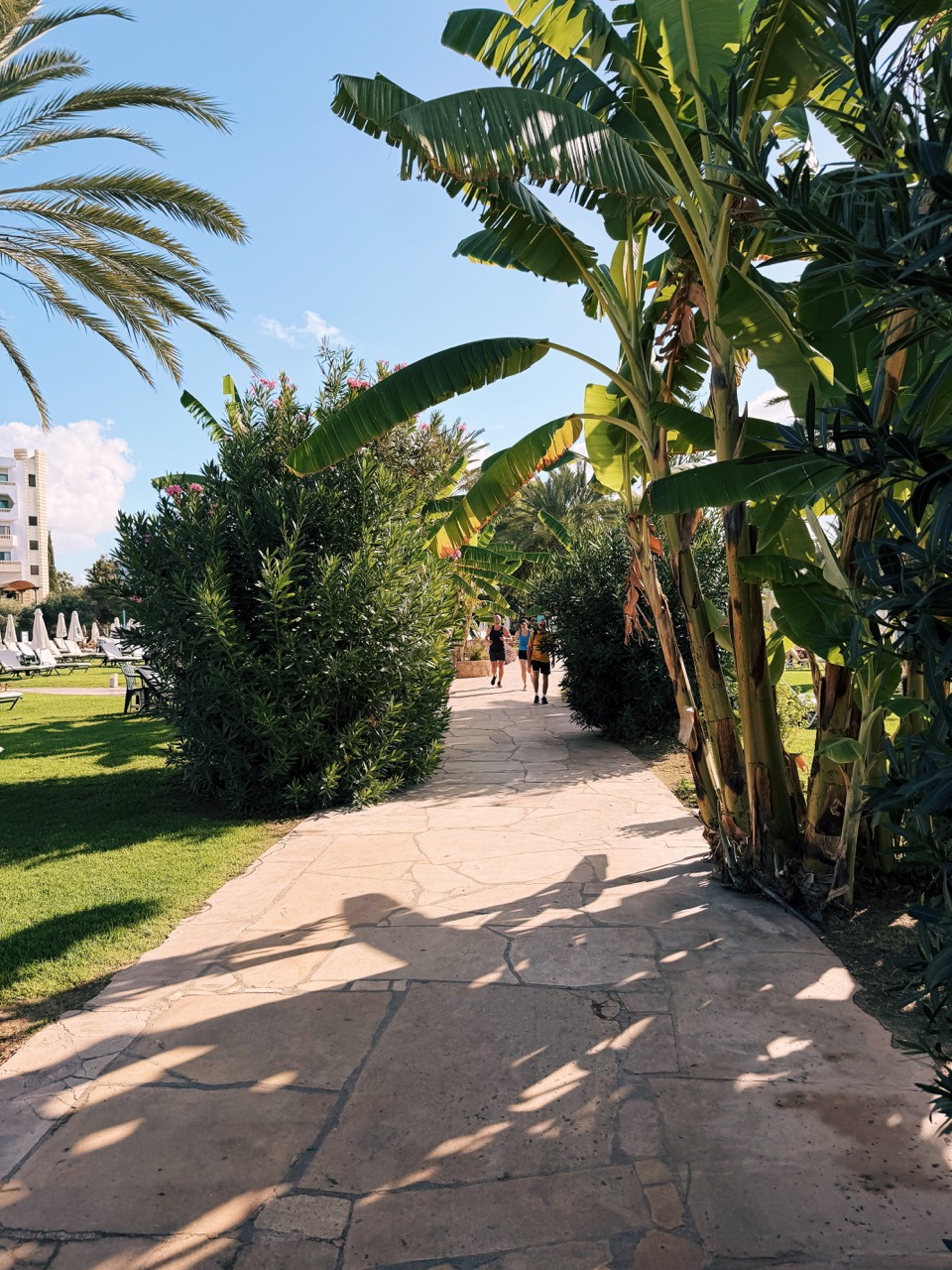Pafos Things to do
