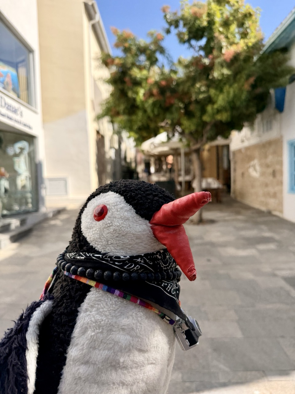 Pafos Things to Know