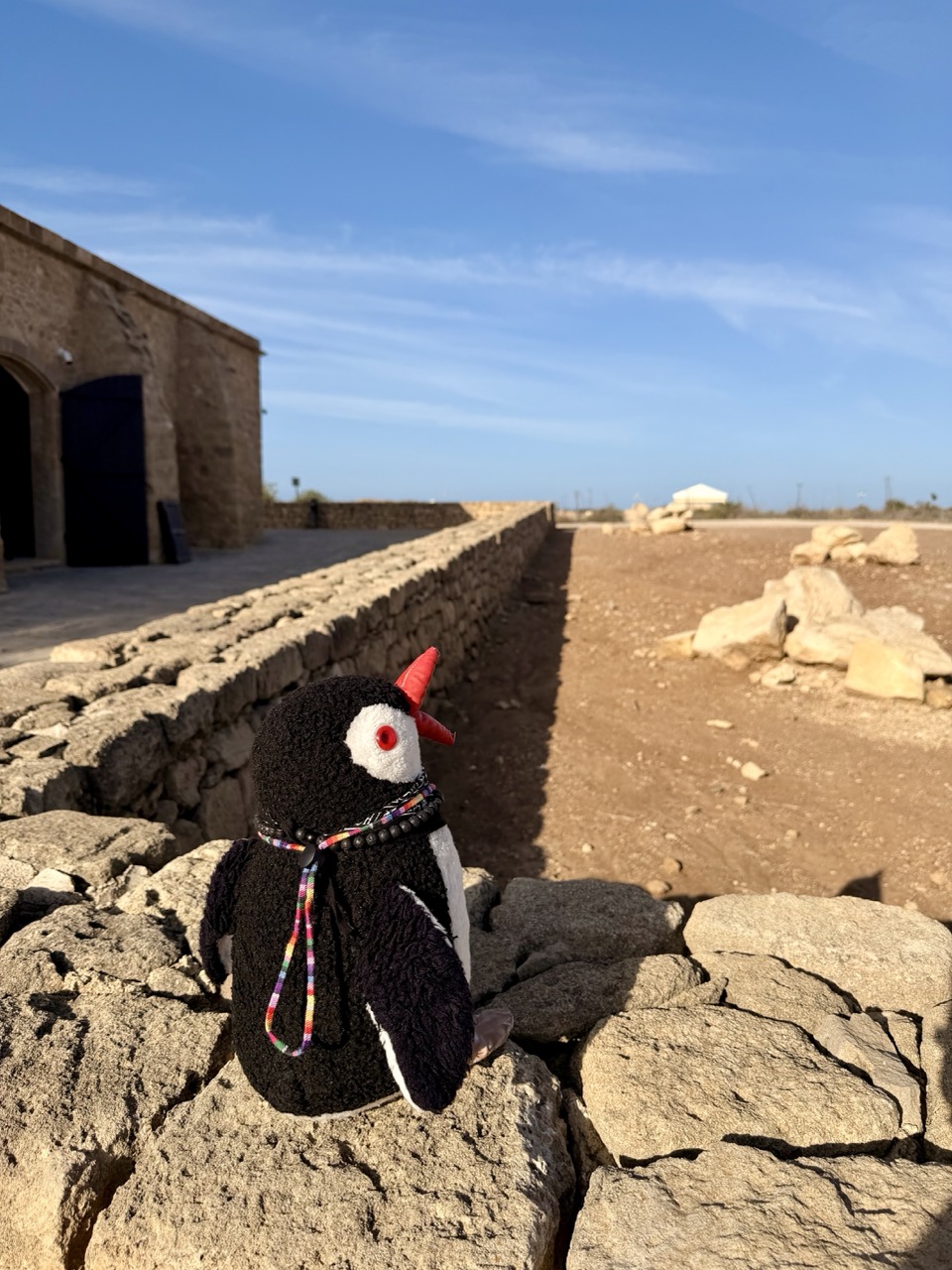 Paphos archeological Park