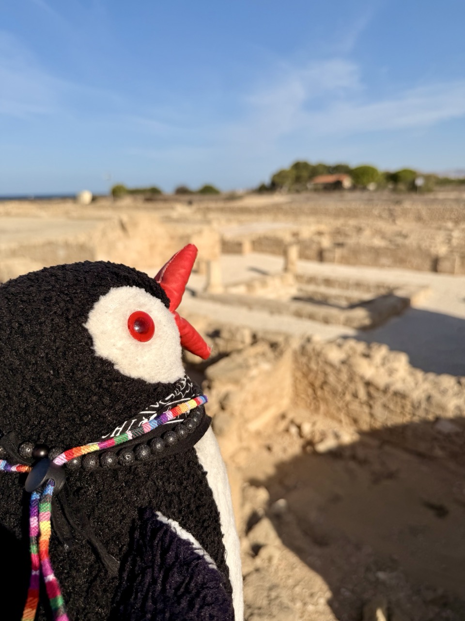 Paphos archeological Park