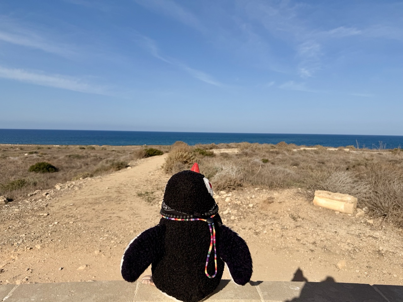 Paphos archeological Park