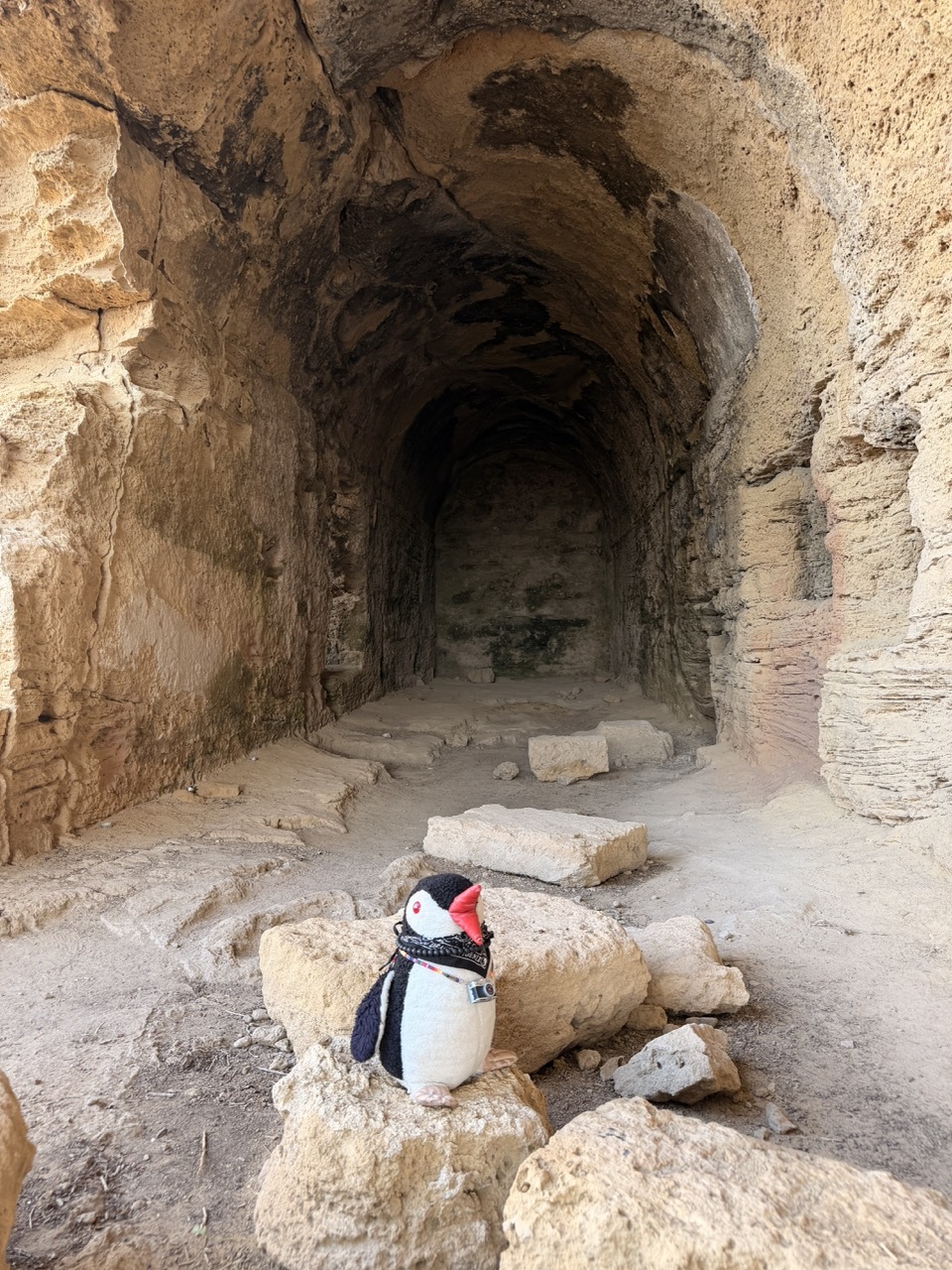 Paphos archeological Park