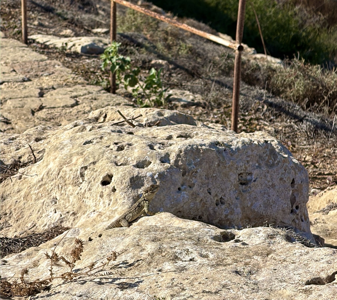 Paphos archeological Park