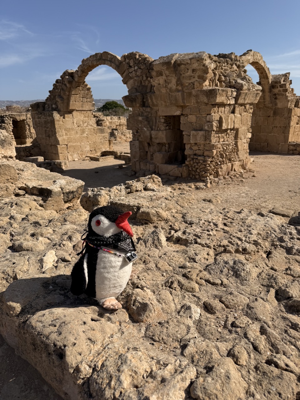 Paphos archeological Park