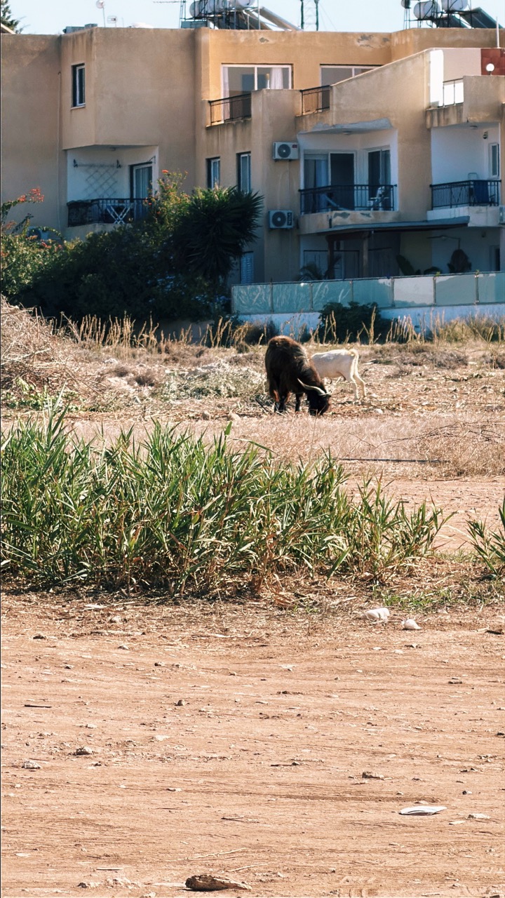 Paphos Cyprus itinerary